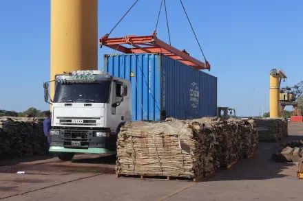 CHACO ALCANZA RÉCORD DE EXPORTACIONES Y ZDERO LANZA UNA AGENCIA DE INVERSIONES.