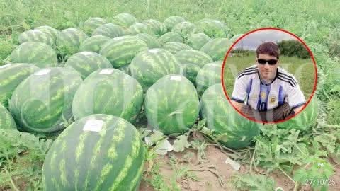 SANDÍAS CHAQUEÑAS AL EXTERIOR: