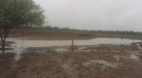 LLEGÓ LA LLUVIA Y TRAJO ALIVIO A LA REGIÓN EN MEDIO DE UNA AGOBIANTE SEQUÍA.