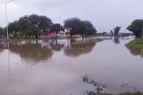 LAS ABUNDANTES LLUVIAS FUERON UN ALIVIO PARA LOS PRODUCTORES DE CASTELLI, PERO PROVOCARON GRANDES ANEGACIONES. 