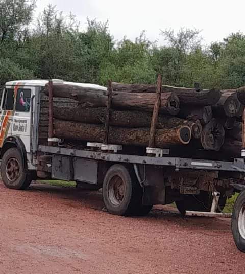 SECUESTRARON CERCA DE MIRAFLORES UN CAMIÓN CON 30 TONELADAS DE PALO SANTO, UNA ESPECIE PROTEGIDA.
