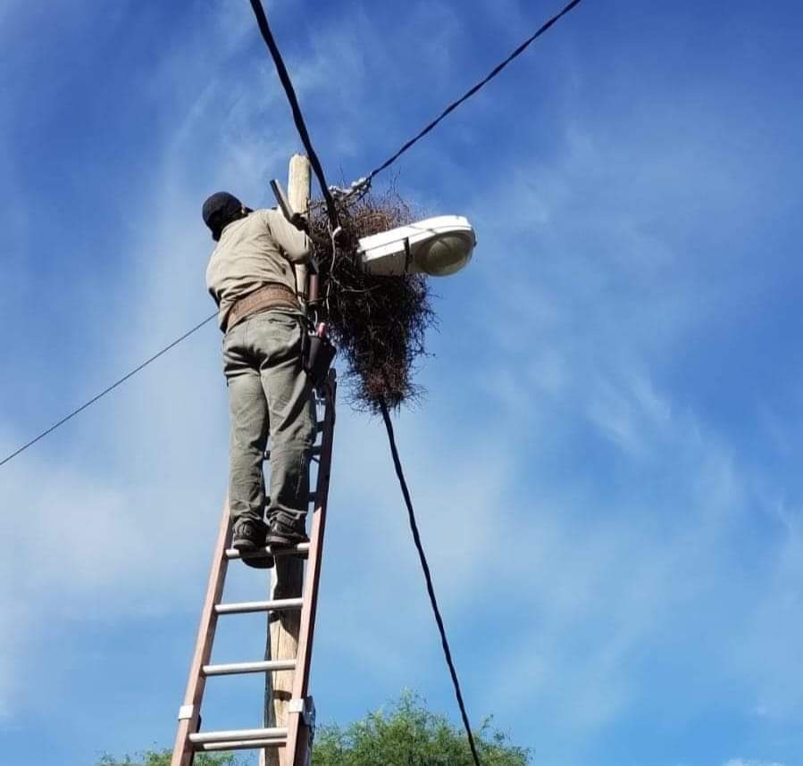 EL MUNICIPIO LOCAL REALIZÓ TRABAJOS ELÉCTRICOS DE CONEXIÓN Y BAJADA EN VARIOS BARRIOS DE LA LOCALIDAD. 
