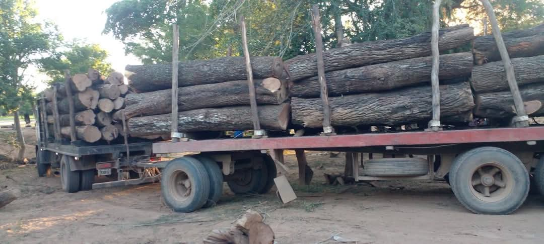 POLICÍA RURAL, LUEGO DE UNA PERSECUCIÓN A CAMIONERO IMPRUDENTE, LOGRAN SECUESTRO DE MADERA Y CAMIÓN, CHOFER FUE DETENIDO.